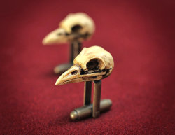 meme-mage:  Raven Skull Cufflinks - Hand made realistic replica bird skull cuff links