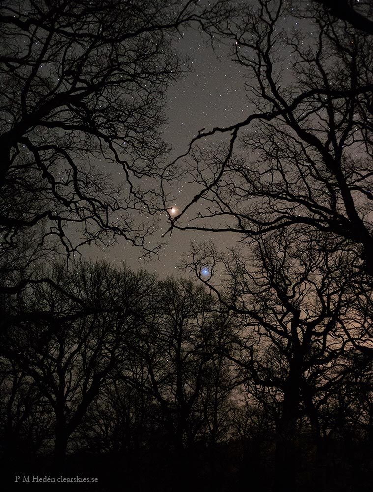 astronomybird:  Mars Red and Spica Blue  