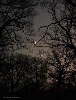 Astronomybird:  Mars Red And Spica Blue  