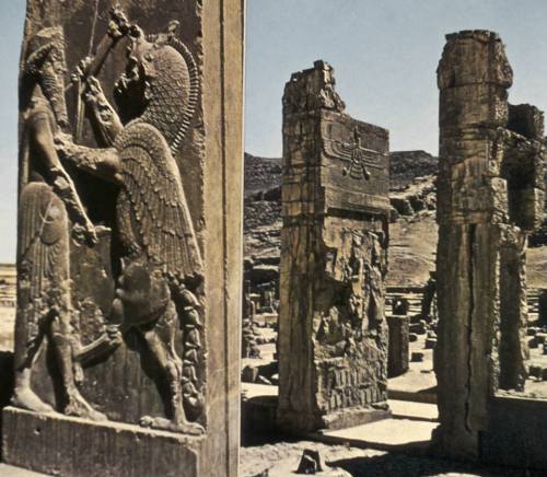 apatenia61 - Reliefs from the Palace of Darius, Persepolis, Iran.