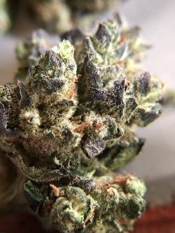 pourpaintmylove-deactivated2022:The dispo weed I got today is very very pretty