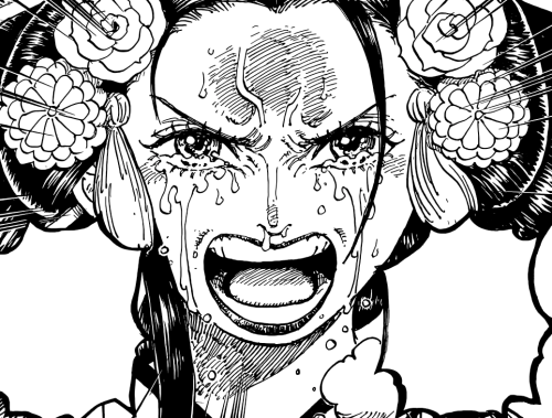 I am Kozuki Hiyori!! [Chapter 1044] : r/OnePiece