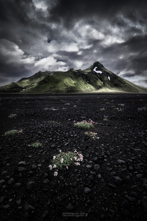 Desert Life by Simeon PatarozlievThe weather in Iceland is so dynamic that sometimes you have to for