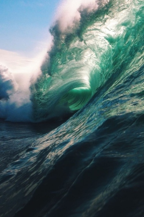 wolverxne:  untitled  by: { Ryan Pernofski  } 