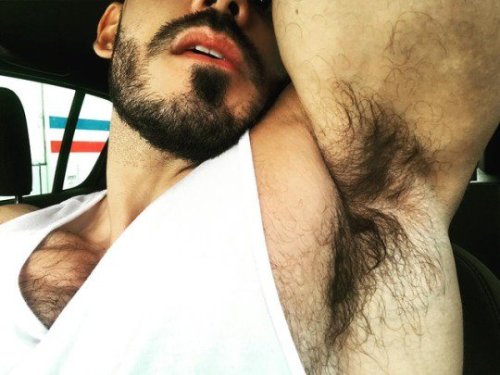 stormycub:  thekinkysprout:Wooff **licks** 