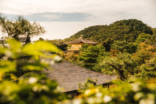 Thursday 5th October 2017. 11:30 Kyoto Japan.Kinkakuji Temple located on the west side of Kyoto. It&