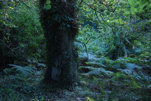 buron: September Blue (14) ©buron - September ‘14