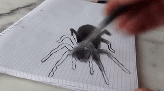 myeengun-the-alicat:  sixpenceee:  The 3D painting of a spider drawn by Stefan Pabst.