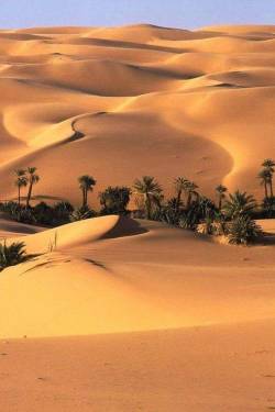 kurifun:  OASIS IN THE DESERT OF SAHARA Source: African Soul