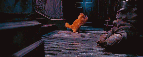 pottersportkey - Tumblr blog | Tumgir
