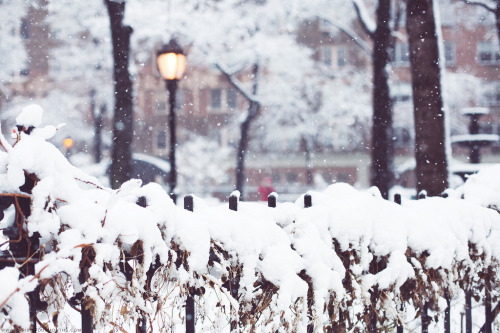 melodyandviolence: Winter Wonderland in New York City (2014) by  Carin Olsson