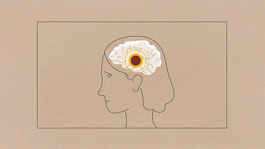 How Stress Affects the Brain