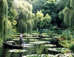 yellowledbetterlove:  Claude Monet’s garden