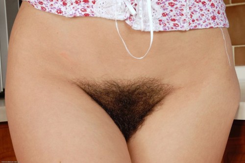 http://hairypussyland.tumblr.com/post/63264219882