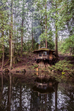 voiceofnature:  The Stump House. Old-growth stump as foundation, set on the banks of a lake Sun Ray Kelley built. 