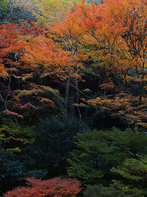 At that time 紅葉 京都市左京区 銀閣寺 by （^^） Teraon on Flickr.