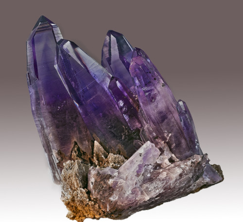 ifuckingloveminerals:  Amethyst Amatitlán, Mun. de Zumpango del Rio, Guerrero, Mexico