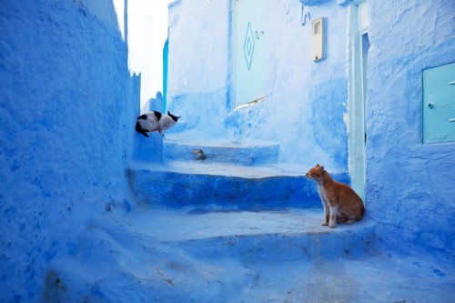 hery-ib:Chefchaouen, Morocco