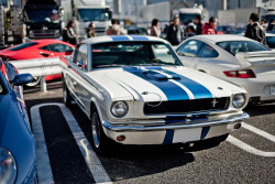 flicktitty:  Mustang, in one of my favorite color combo’s for that year. 