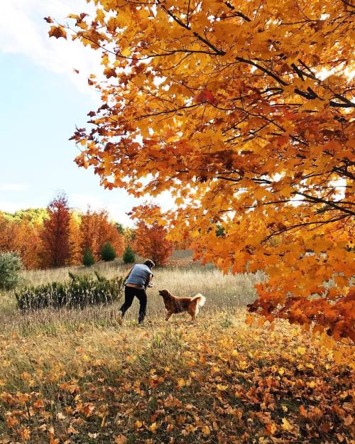 thefreshexchangeblog: Took a ride up to the land this morning to shoot some fall photos with our fri