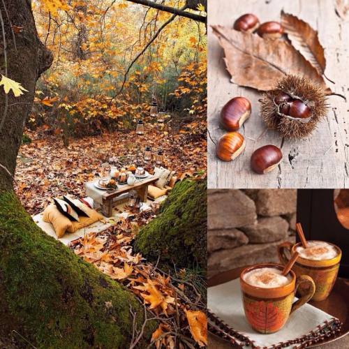 HAPPY SATURDAY #happyday #happyweekend #weekend #helloautumn #autumn #autumniscoming #picnic #sweet 