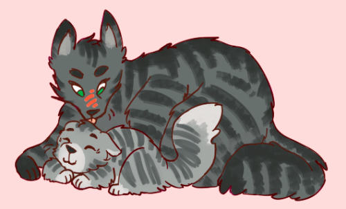 cosima-niehaus: rnetalbenders: collection of ob kitties for cosima-niehaus’ warrior cats au !!