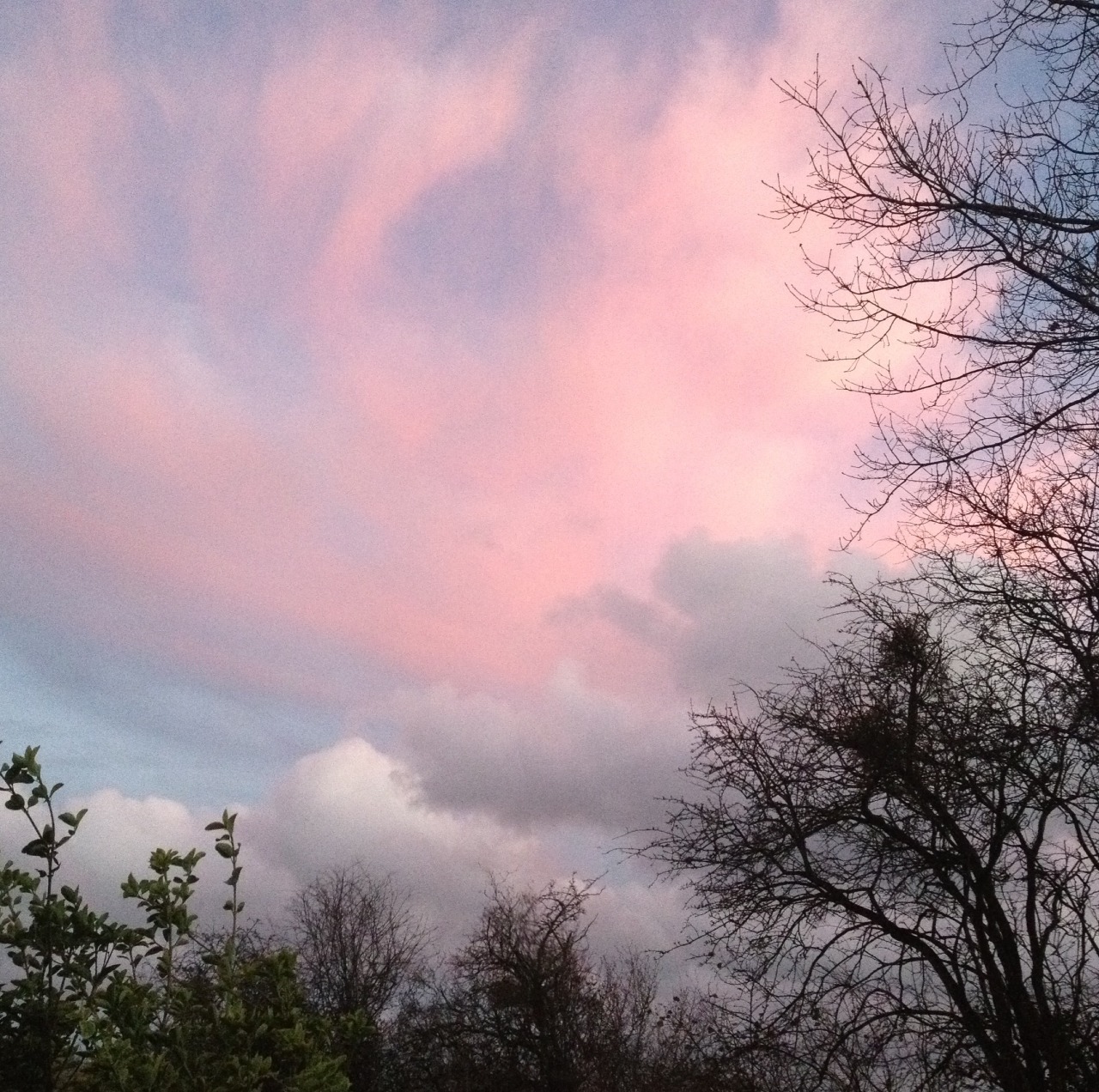 sufferiings:  the sky was pink the other day 