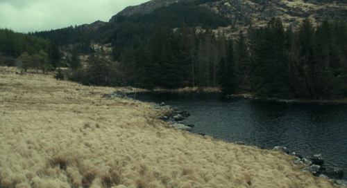 cinemawithoutpeople: Cinema without people: The Lobster (second pass) (2015, Yorgos Lanthimos, dir.)