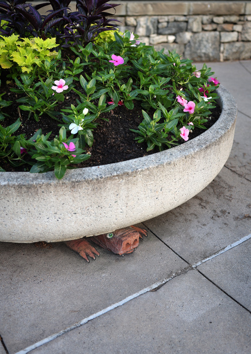 Given the size of Ken’s nostrils, it’s no surprise that he’s wary of pollen season.