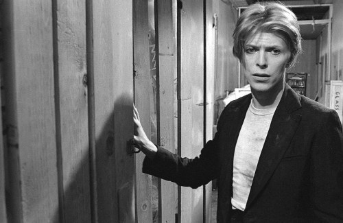 the man who fell to earth