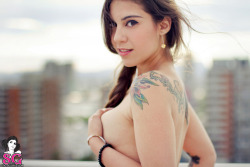  Minerva Suicide 