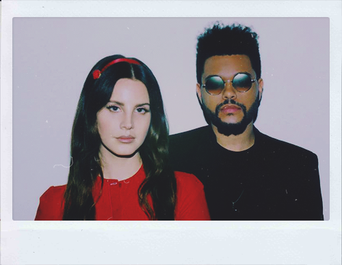skyferreiras:starboy x stargirl