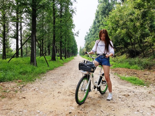 Seoul has some fun bike-friendly spots, including Haneul Park’s Metasequoia Trail and Yeouido 