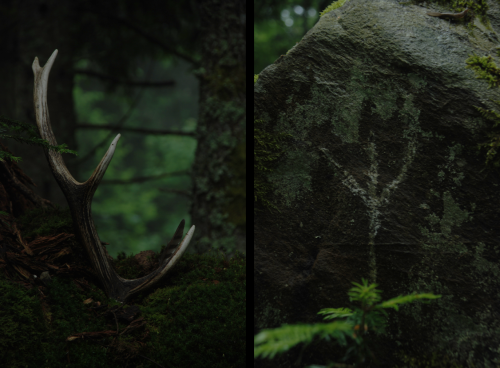 ysambre-fauntography:Algiz / Elhaz - The Elk Rune