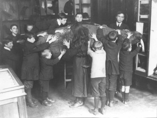 camerettasabauda:Blind children feel a taxidermied walrus ca. 1910s: twitter.com/PublicDomainRev