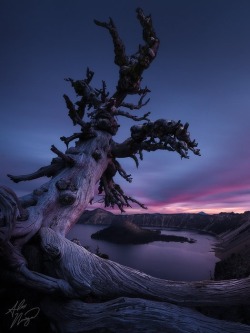 x-enial:  Azul  by Alex Noriega   