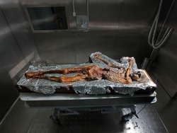 sixpenceee:  Ötzi the Iceman is the world’s oldest wet mummy. Discovered in 1991, Ötzi’s body was found in a melting glacier high in the Alps. Scientists believed he lived around 3300 B.C. His remains have been studied extensively since then and