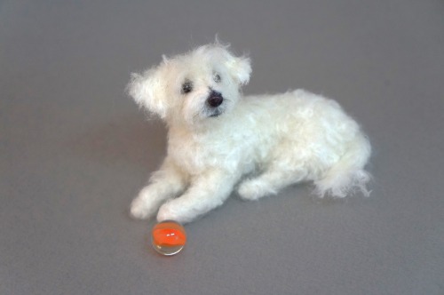 A needle felted Maltipoo I made.  About 4 inches long. 