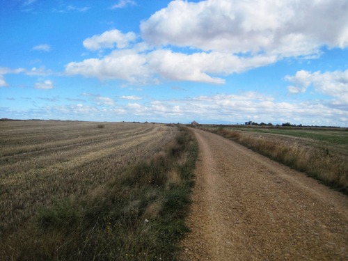 Vistas de la meseta I - cerca de Hornillos, Burgos, Castilla y Léon, 2011.The first in an occasional