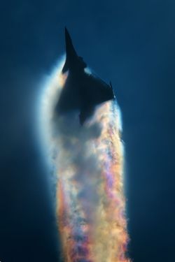 Eyes to the Skies