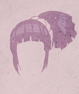 regamme:  hinata+sakura+ino - hair moments 