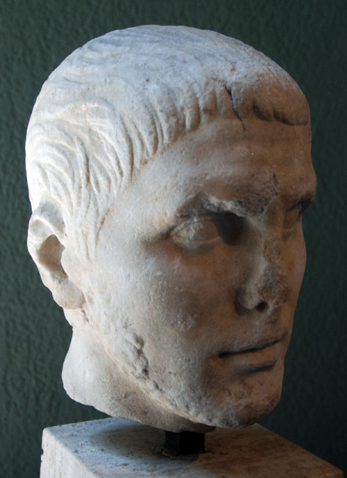 Portrait of a man. I quarter of II century AD. Marble. Civico museo archeologico di Milano. Inv
