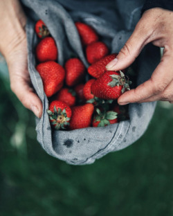 oldfarmhouse: “Colors of Summer 🍓 and strawberries to all- ̗̀ 🐝 ̖́- save the bees !! - ̗̀ 🐝 ̖́- http://www.instagram.com// 