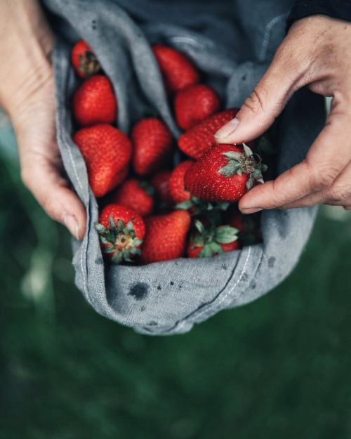 a violet dream ・・・ “Colors of Summer Wish Love and strawberries to all