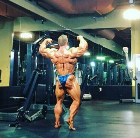 Flex Lewis