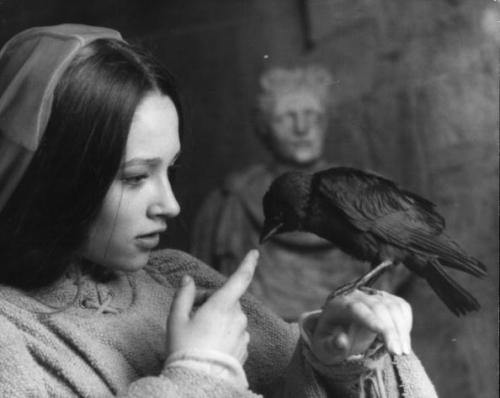 alwaysiambic:Olivia Hussey lets a rook take a peck at her finger during a scene in Franco Zeffirelli