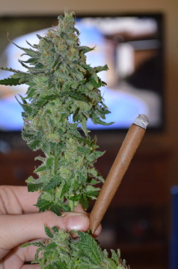 incredible-kush:  blunt after blunt cola