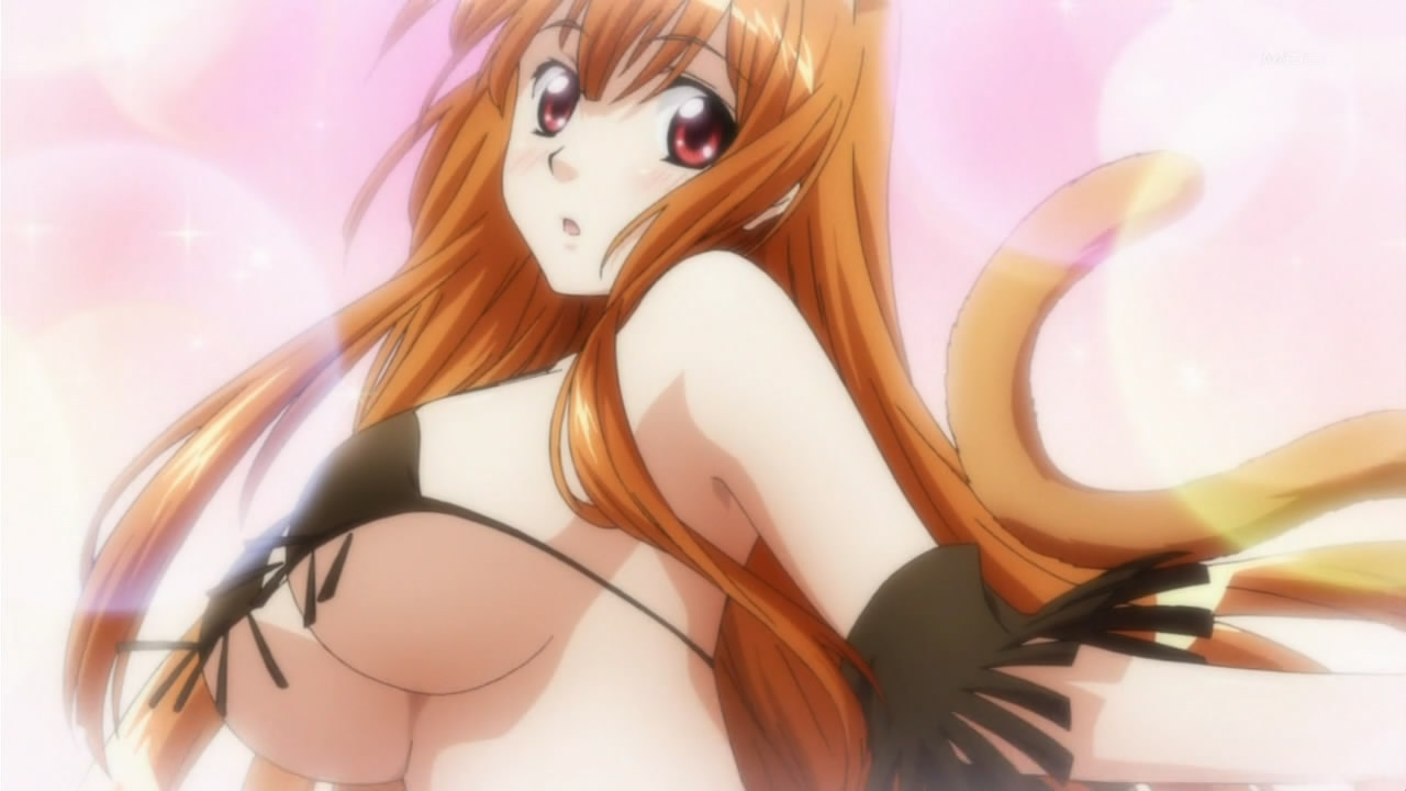ecchihentaiworld:  Cat ears request. 