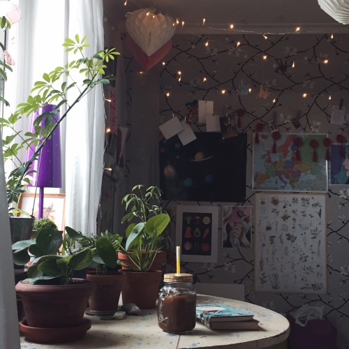 paraplyaralia:my room today