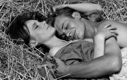 hubertdehippie:Les loups dans la bergerie (1960)